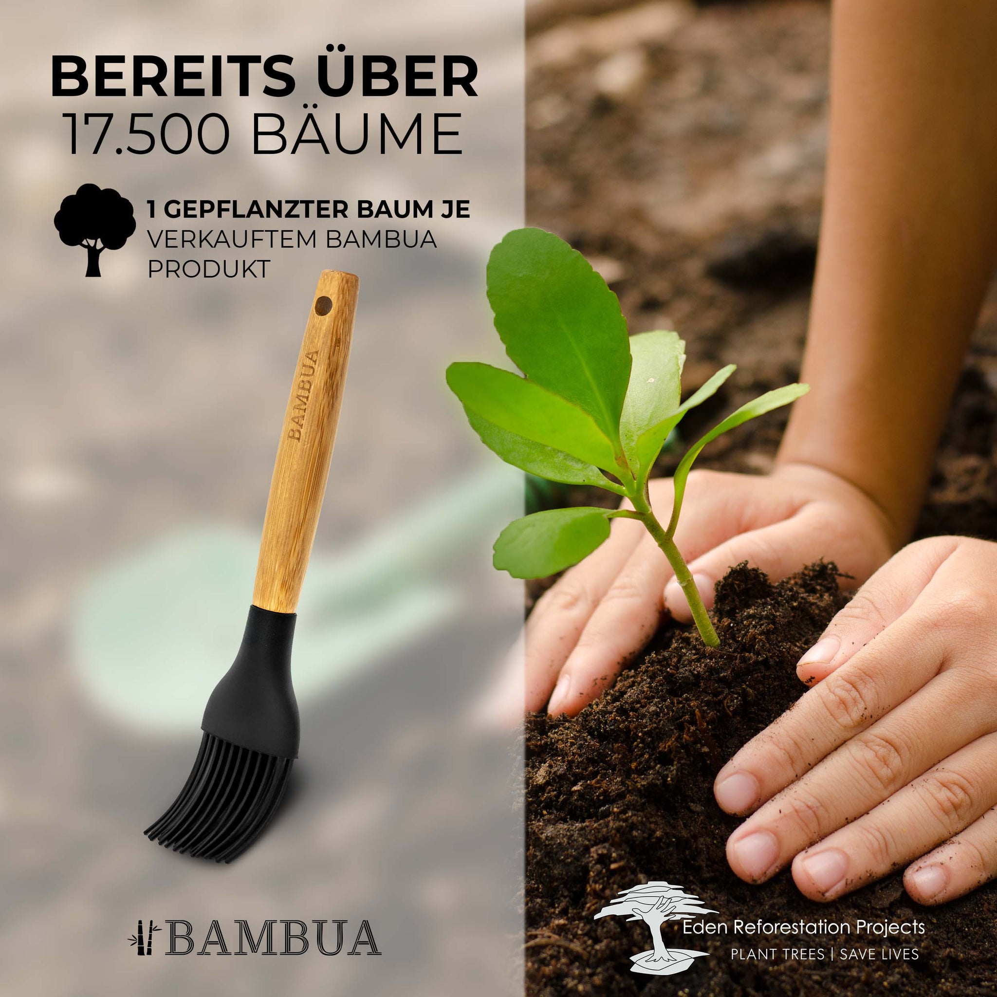 Tala Backpinsel Aus Holz - Natur Backpinsel Für Öl, Glasur & Ei